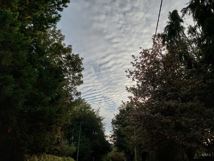Mackerel sky